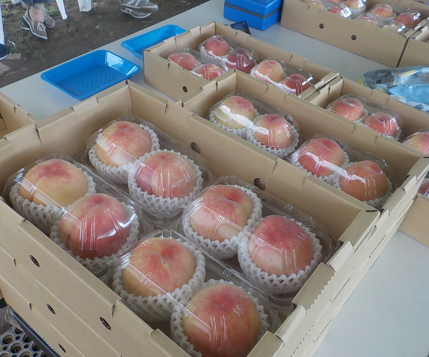 もも🍑購入外出