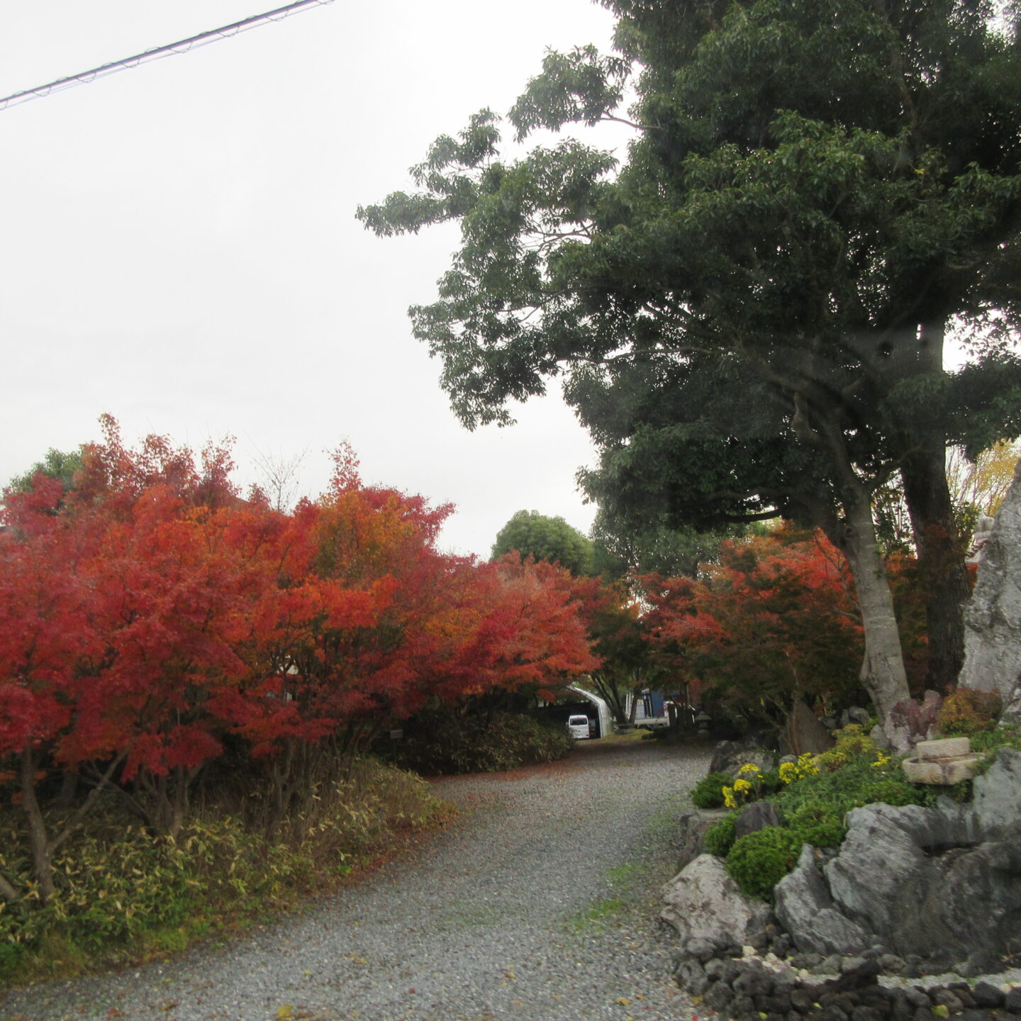 11月　紅葉ドライブ